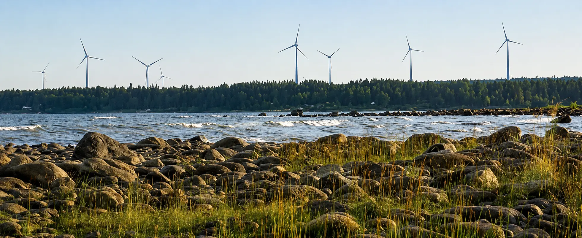 Wind farm